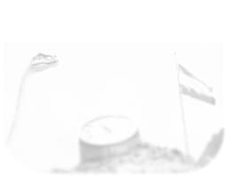 میمون مارمُوست